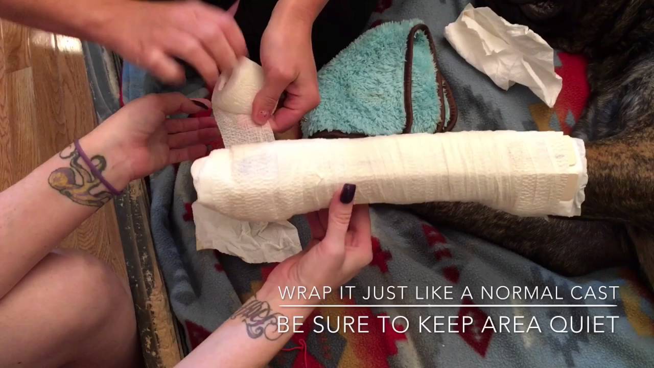 Dog Breaks Leg ; How To Give A Dog With A Broken Leg a Splint; Dog Breaks Leg; ManMade