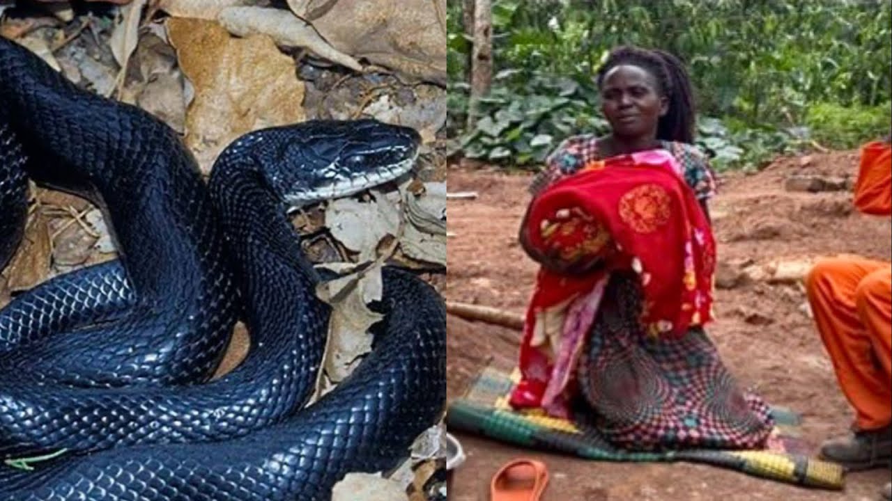 BINO BITUSOBEDE! WUUNO OMUKYALA EYAZALA ABALONGO NGOMU MWANA OMULALA MUSOTA BBA YAMUDUKAKO