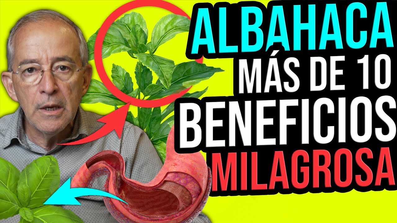 ATENCION LA ALBAHACA TIENE MÁS DE 10 BENEFICIOS APROVECHABLES - Oswaldo Restrepo RSC