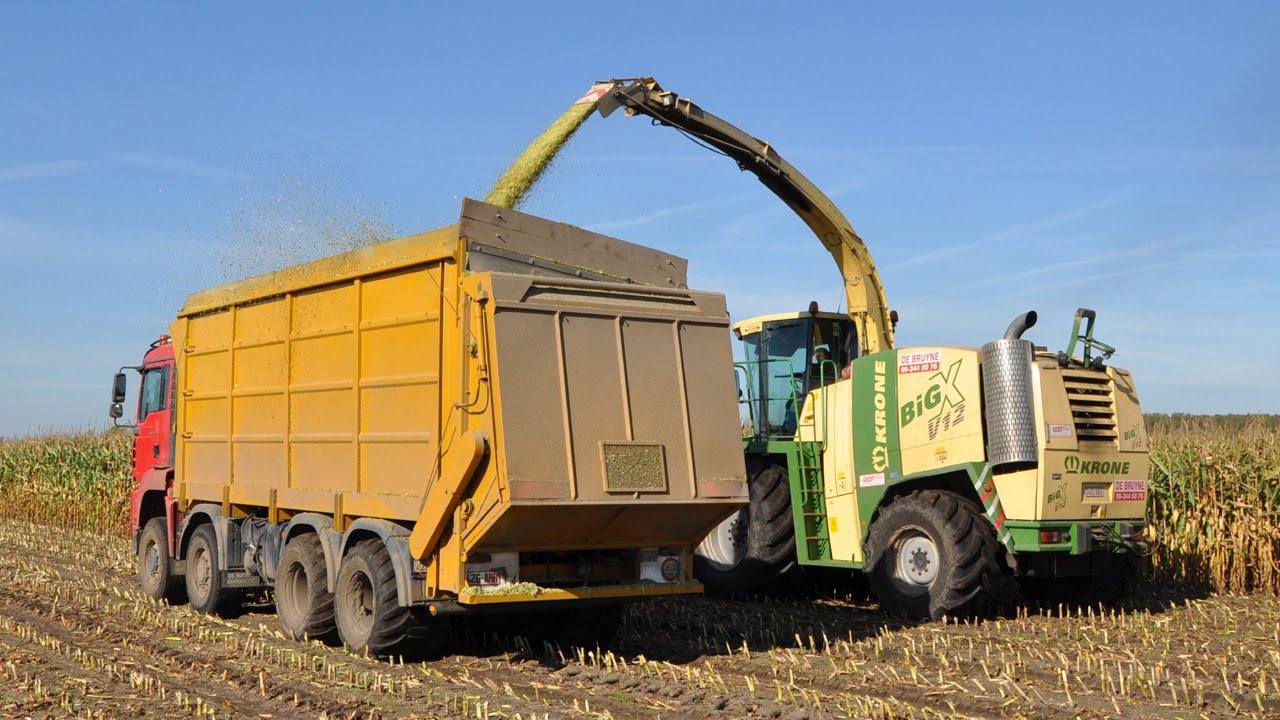 Loonwerk De Bruyne - Krone Big X V12 - mais hakselen