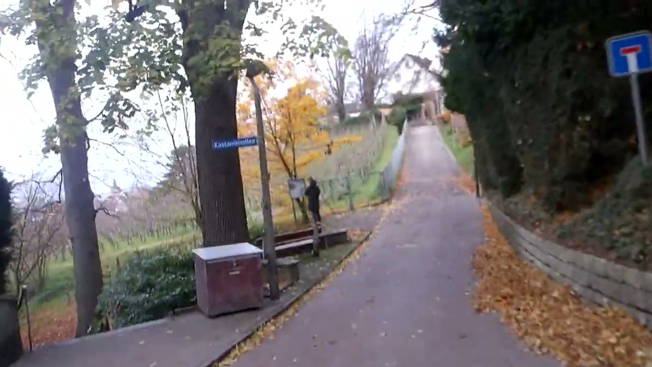 WALKING TOUR 4102 Binningen BL  St. Margarethen - 4053 Basel BS  Switzerland