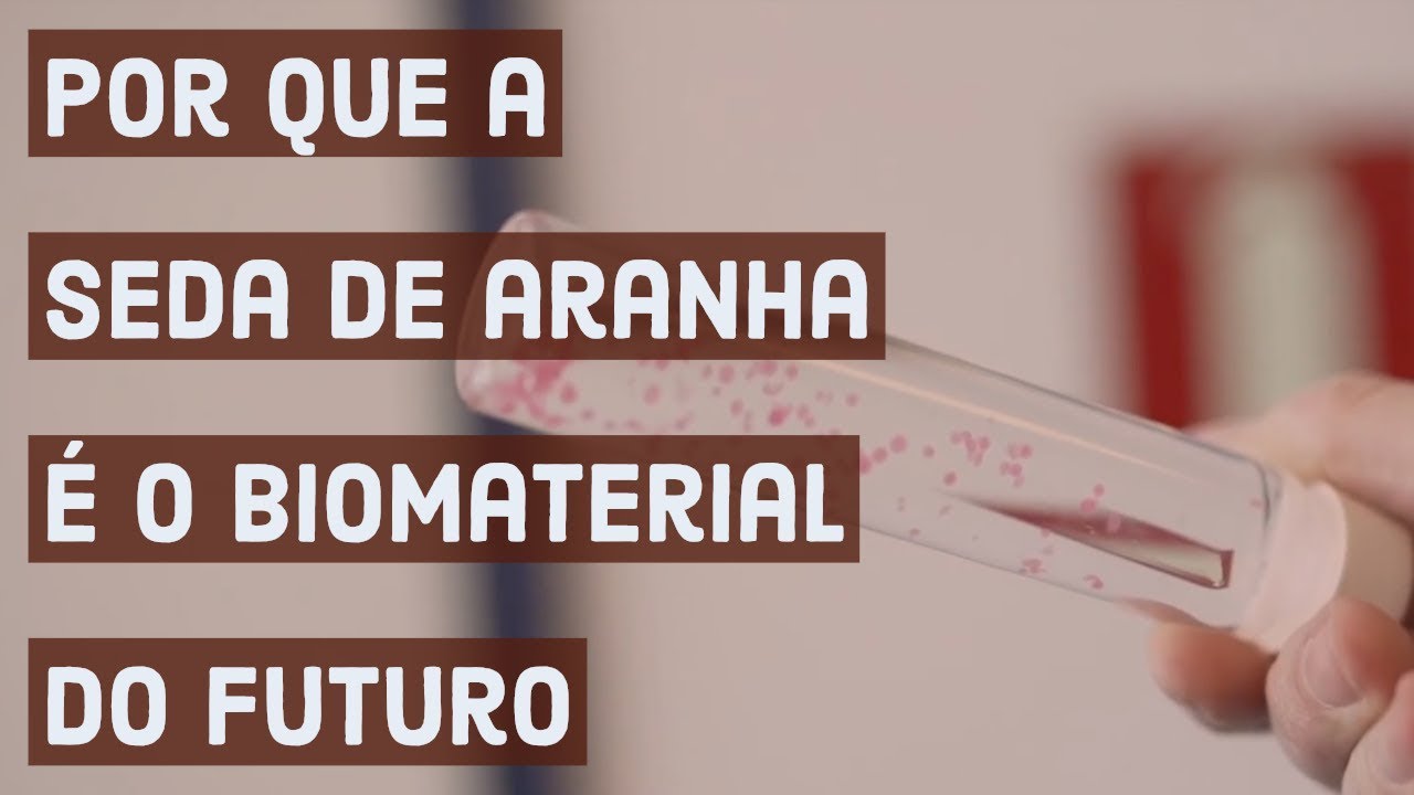 Por que a seda de aranha é a biomaterial do futuro