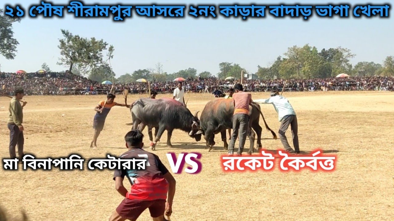 ২১পৌষ শীরামপুর আসরে ২নং কাড়ার বাদাড় ভাগা খেলা