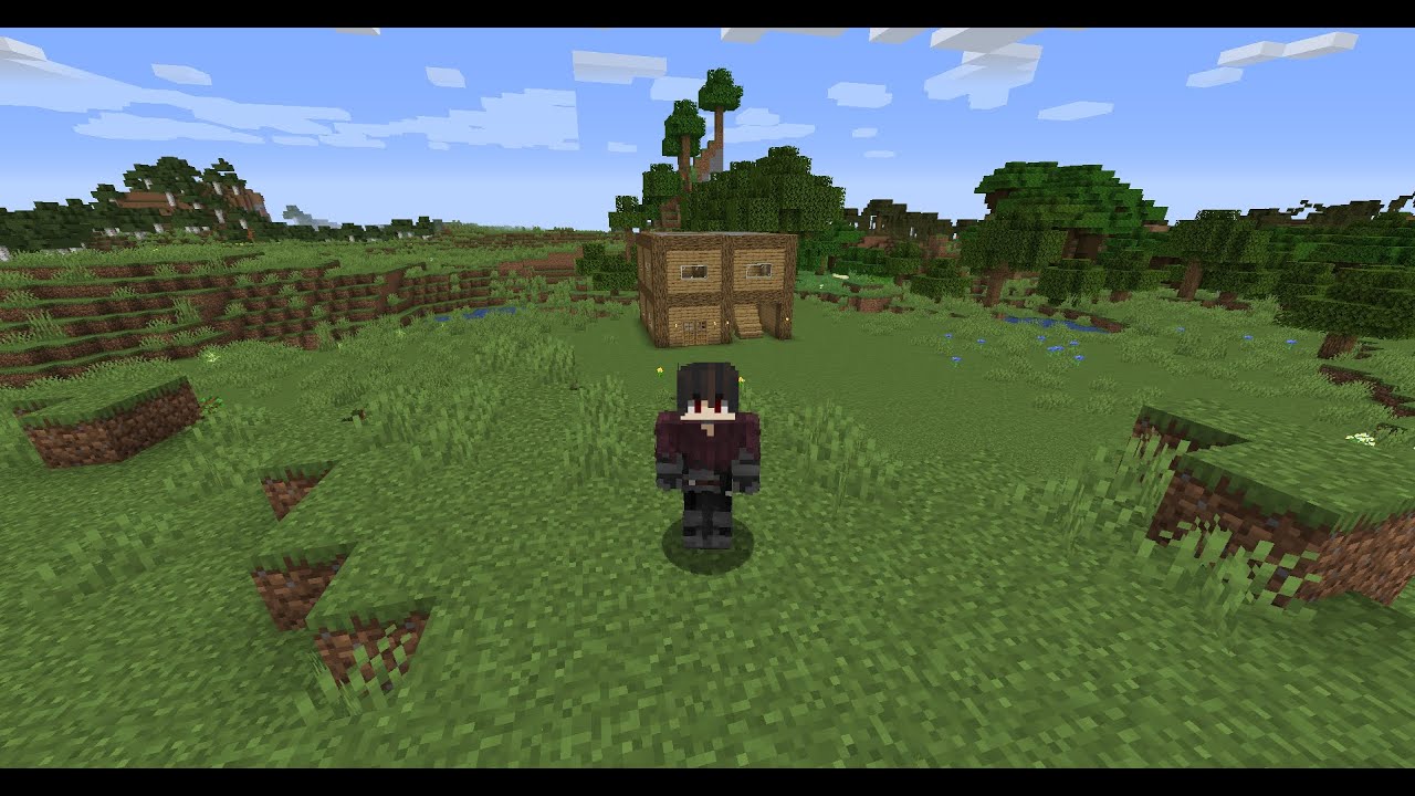 Il mio primo video