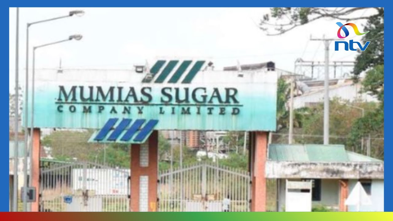 MPs support move by the government to lease sugar mills