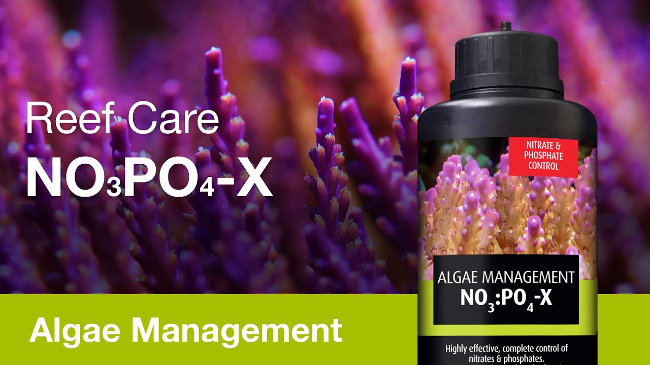 NOPOX &ndash; rid of nuisance algae the reef-safe way