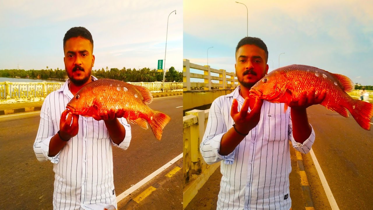 നിങ്ങൾ ഇതുവരെ കാണാത്ത .5Kg ചെമ്പല്ലി പിടുത്തം !  RED SNAPPER CATCH VIDEOS,