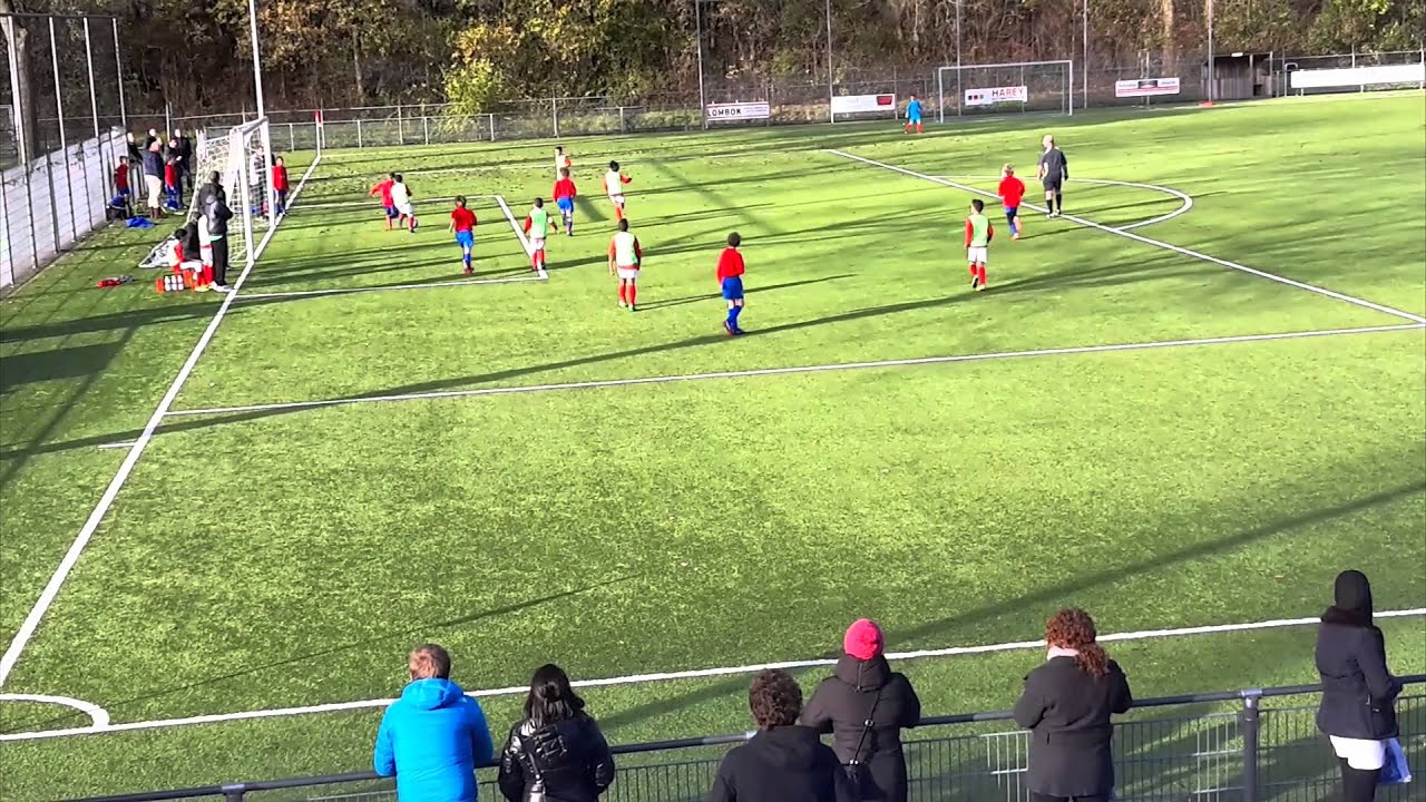 Samenvatting DVSU E1 - DOSC E2