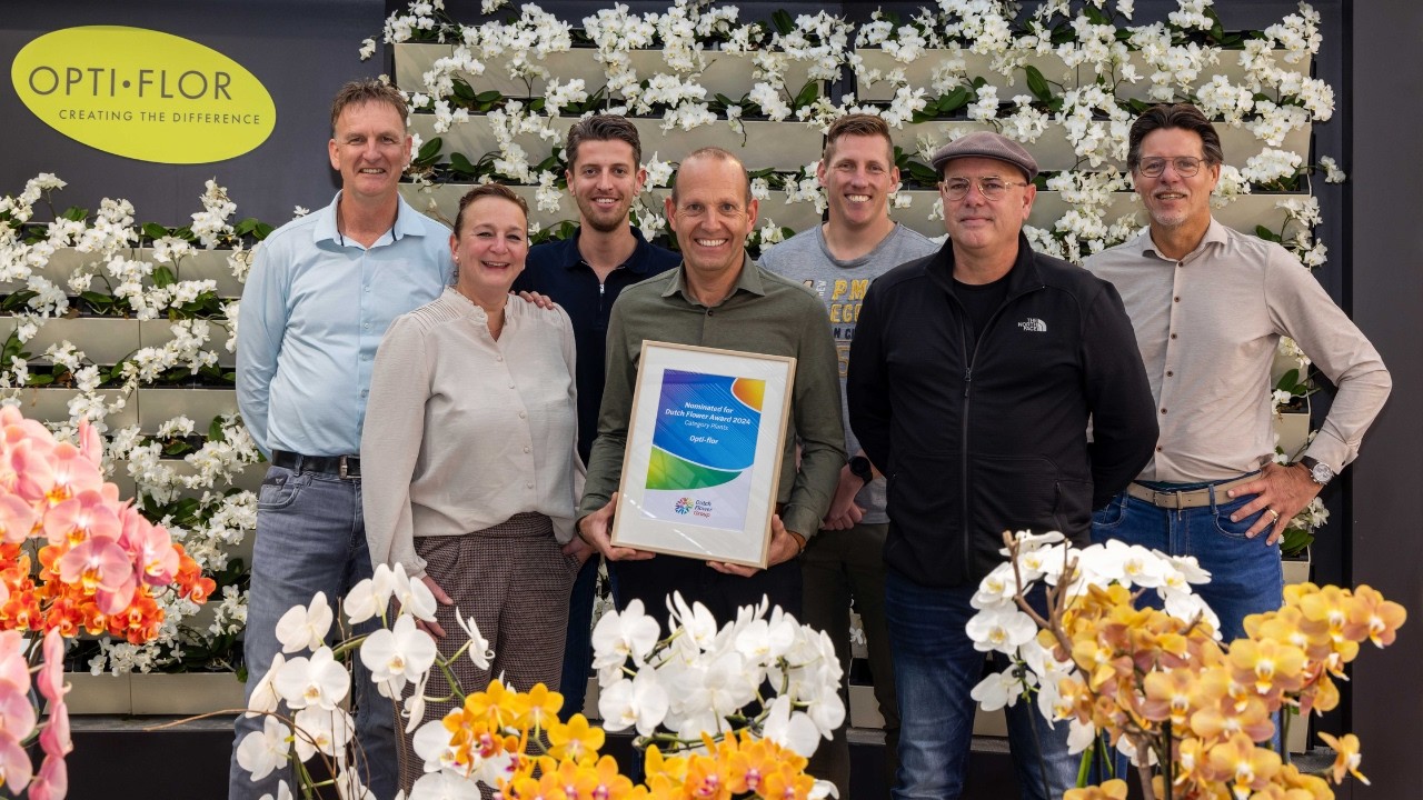 Dutch Flower Awards 2024 - genomineerde Opti-flor