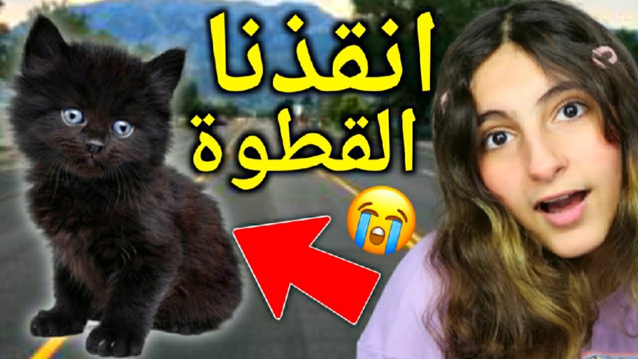 انقذنا قطوة ضايعة 😱 - qm sisters