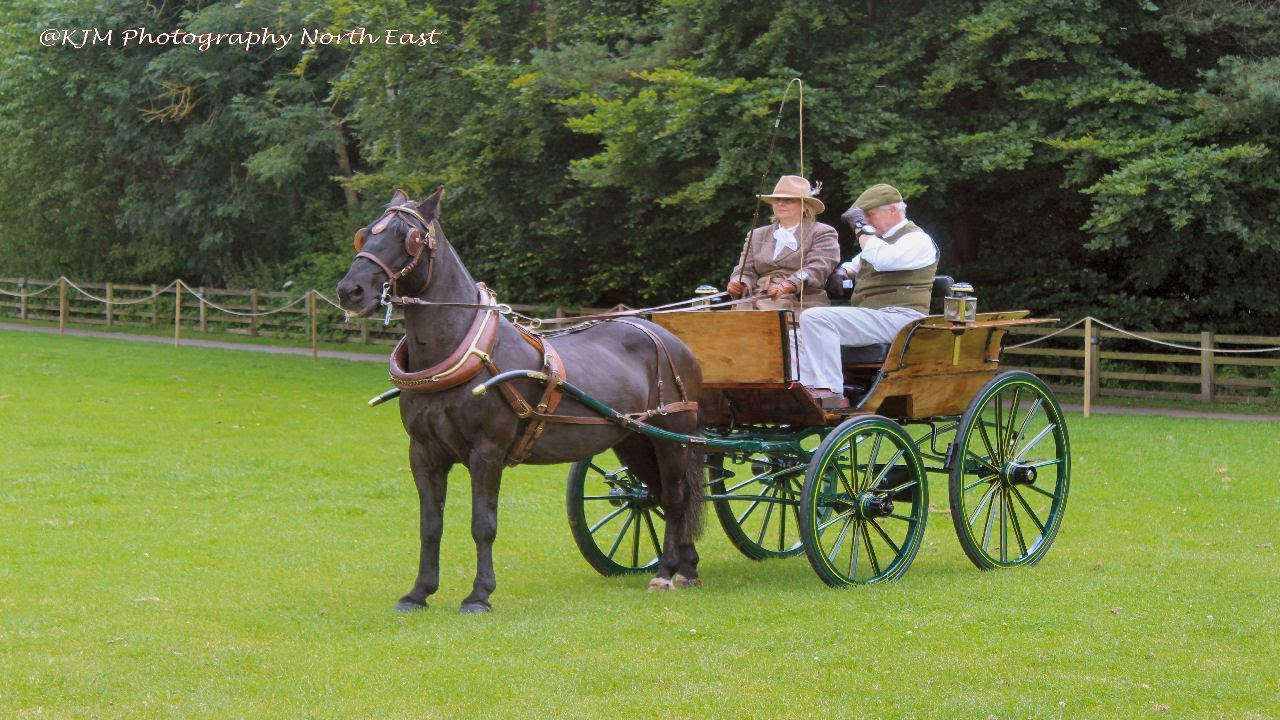 Attelage Horse Weekend 2024 Beamish Museum (Part 5) #beamish #horse #horsemanship #horseshow