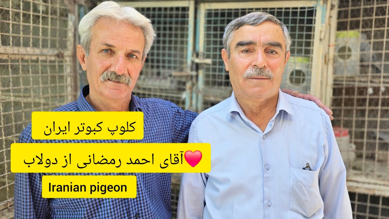 ❤️۲۰ مهر۱۴۰۳ گزارش و مصاحبه با آقای احمد رمضانی از تهران iranian high flyers pigeon