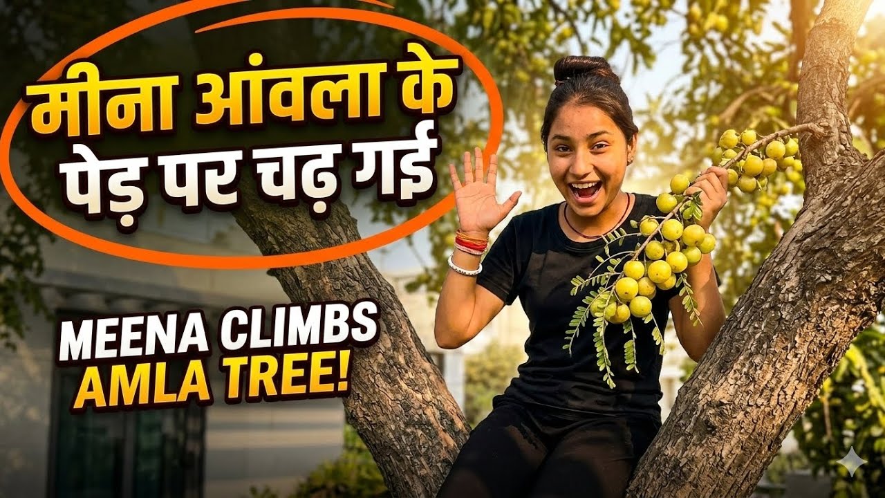 Meena Amla ke ped par chadh gayi | chappal se shahtoot tode | Ineisha ne danta 😡 | mannu Pannu vlogs