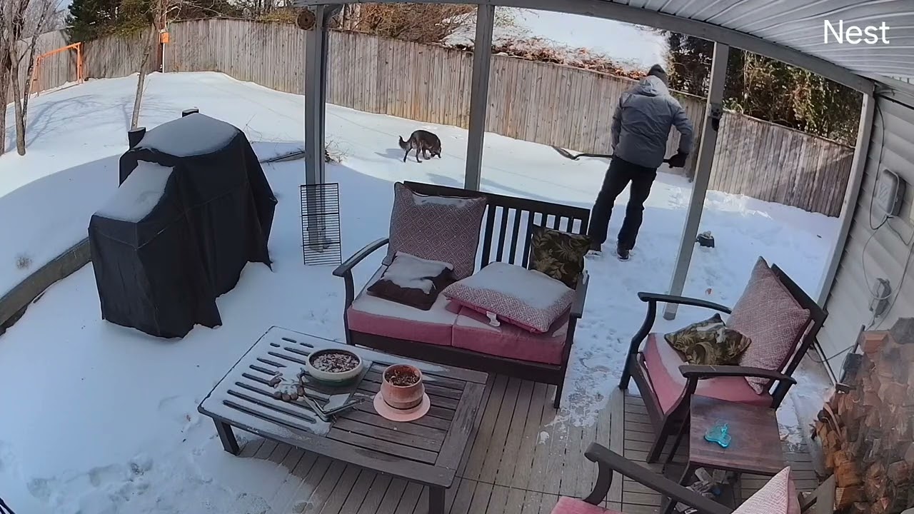 Emergency Provisions 