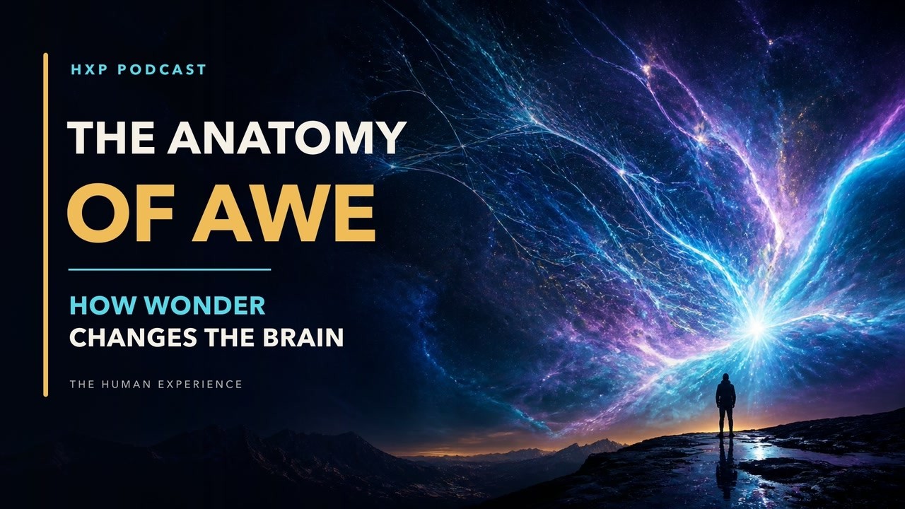 The Anatomy of Awe: How Radical Wonder Changes Your Brain | The Human Experience