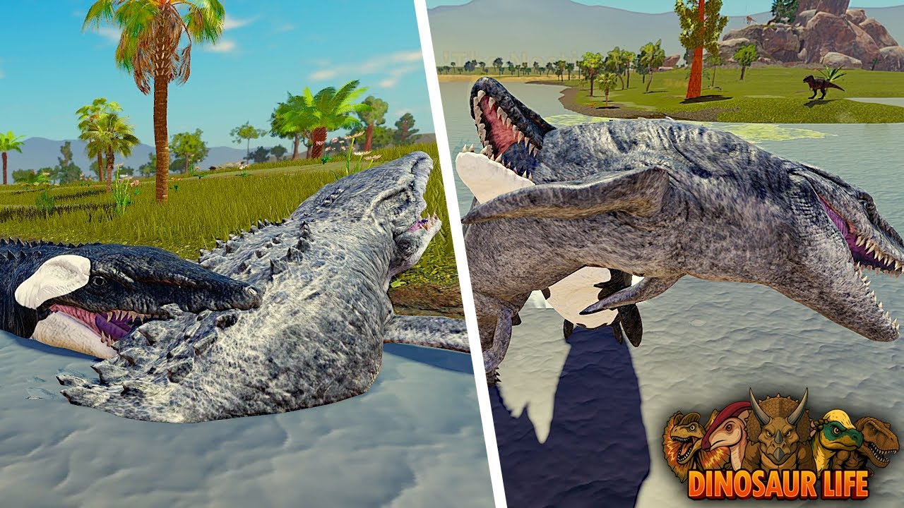 An Orca Encounters a Mosasaurus Pack! | ROBLOX Dinosaur Life