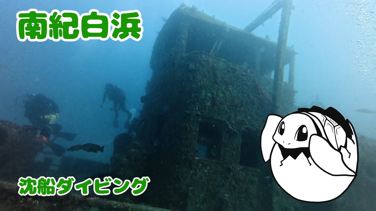 【水中動画】南紀白浜_沈船ダイビング