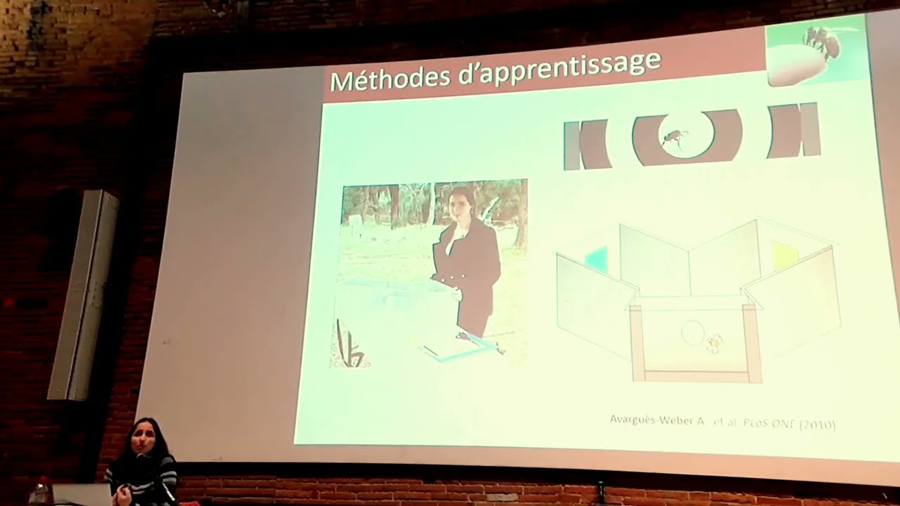 13 Avril 2023 Docteur Aurore Avarguès-Weber Intelligence des Abeilles Révolution et Perspectives