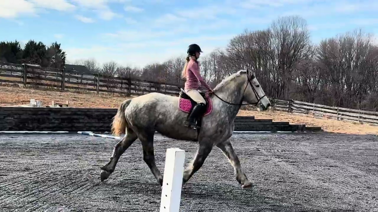 M.M. Acres Melody Flatwork - February 21, 2026