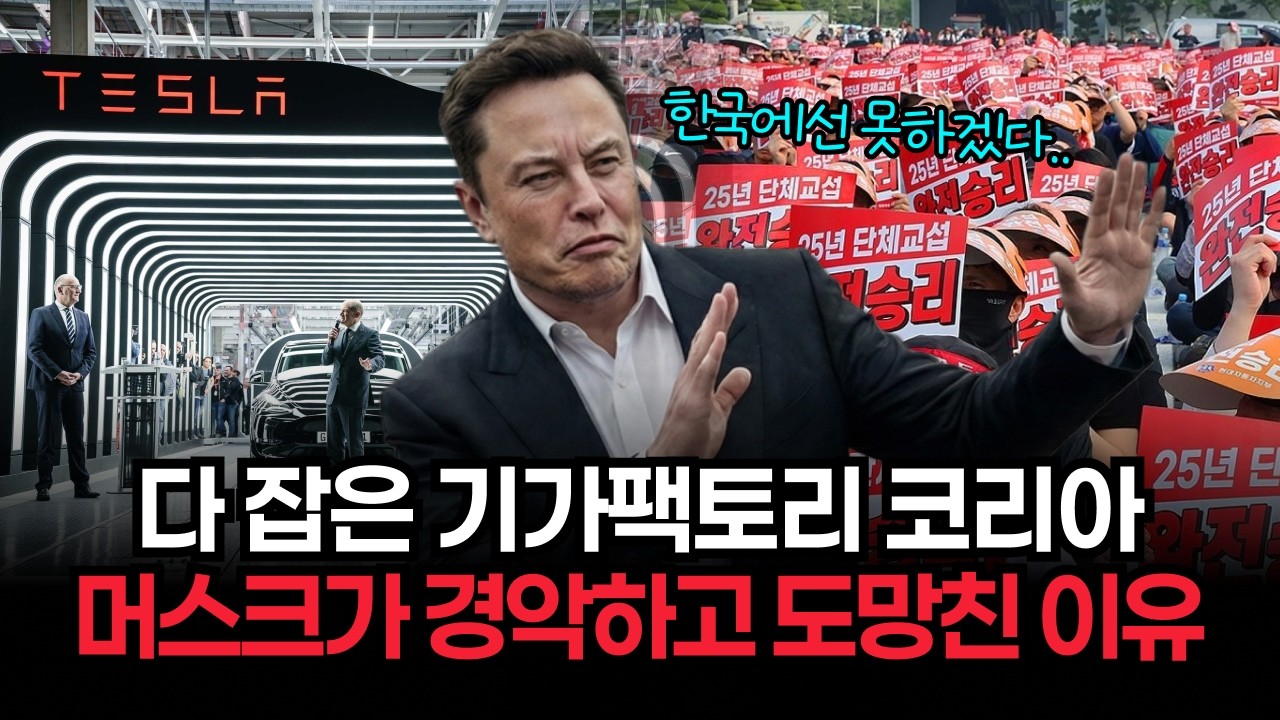 기가팩토리 코리아는 왜 '신기루'가 되었나? 한국의 강성 노조와 규제가 머스크의 발길을 돌리게 만든 충격적인 이유