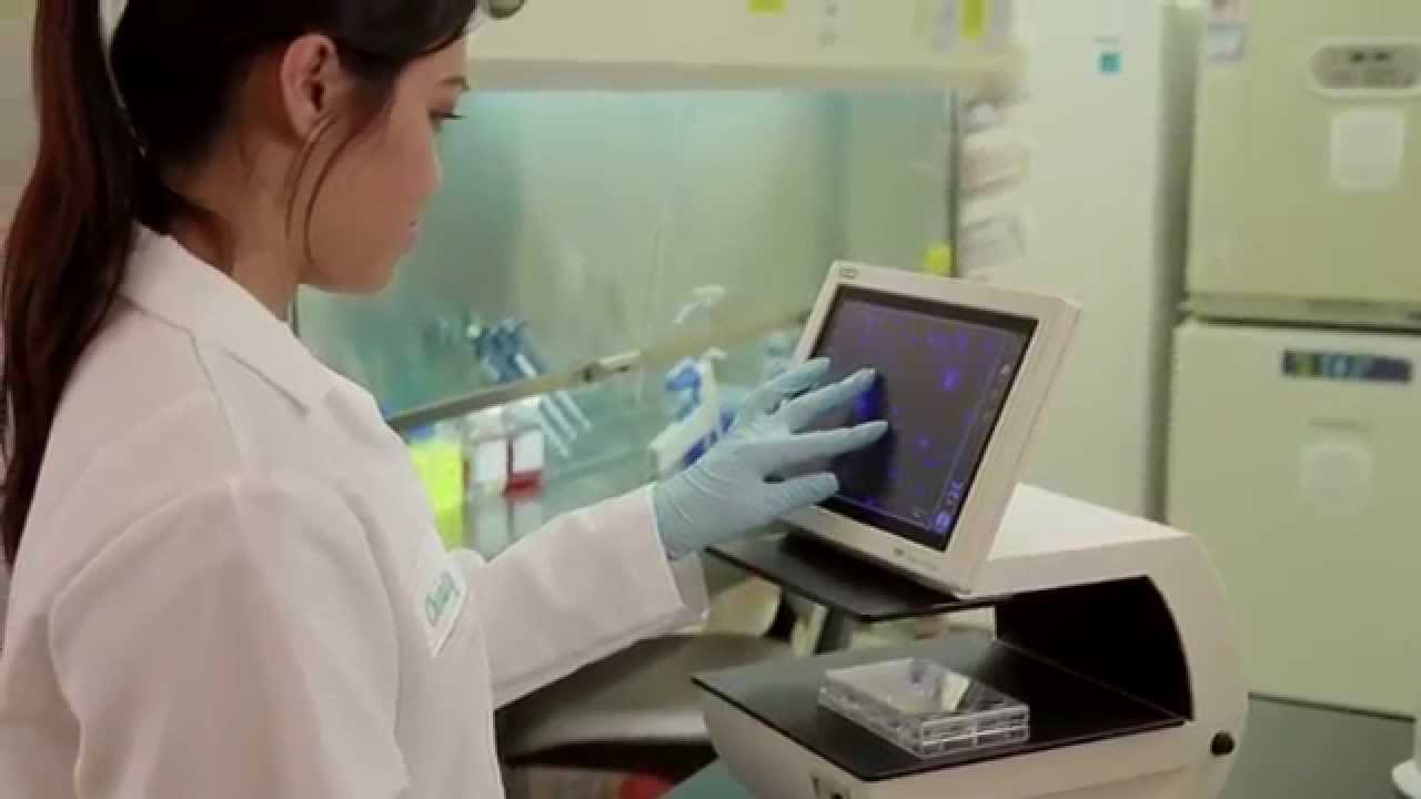 PureBlu&trade; DAPI Nuclear Staining Dye for Fixed Cells - A Fast Approach to Staining Nuclei