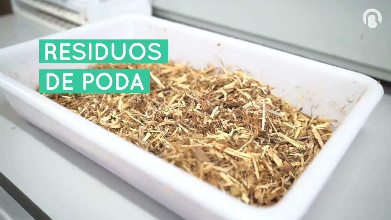 Fraccionamiento selectivo de la biomasa lignocelulósica y aprovechamiento de la lignina |Bio3project