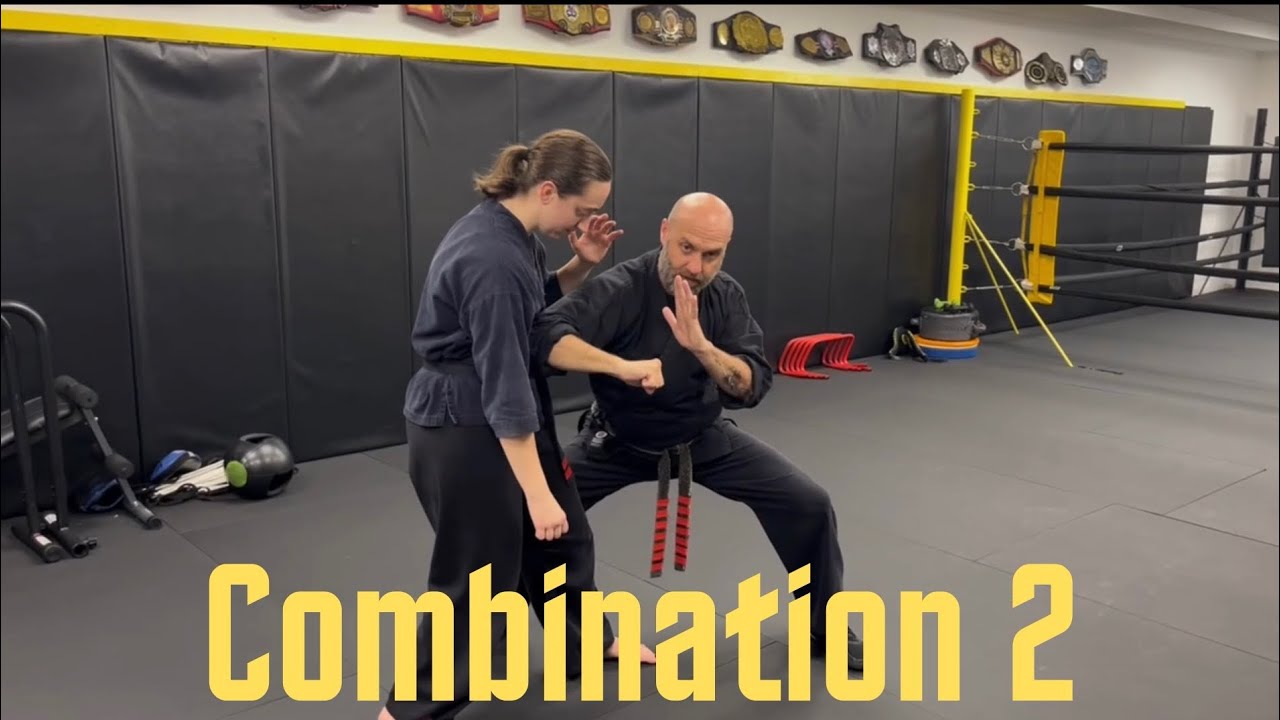 Combination 2 | Shaolin Kempo Karate