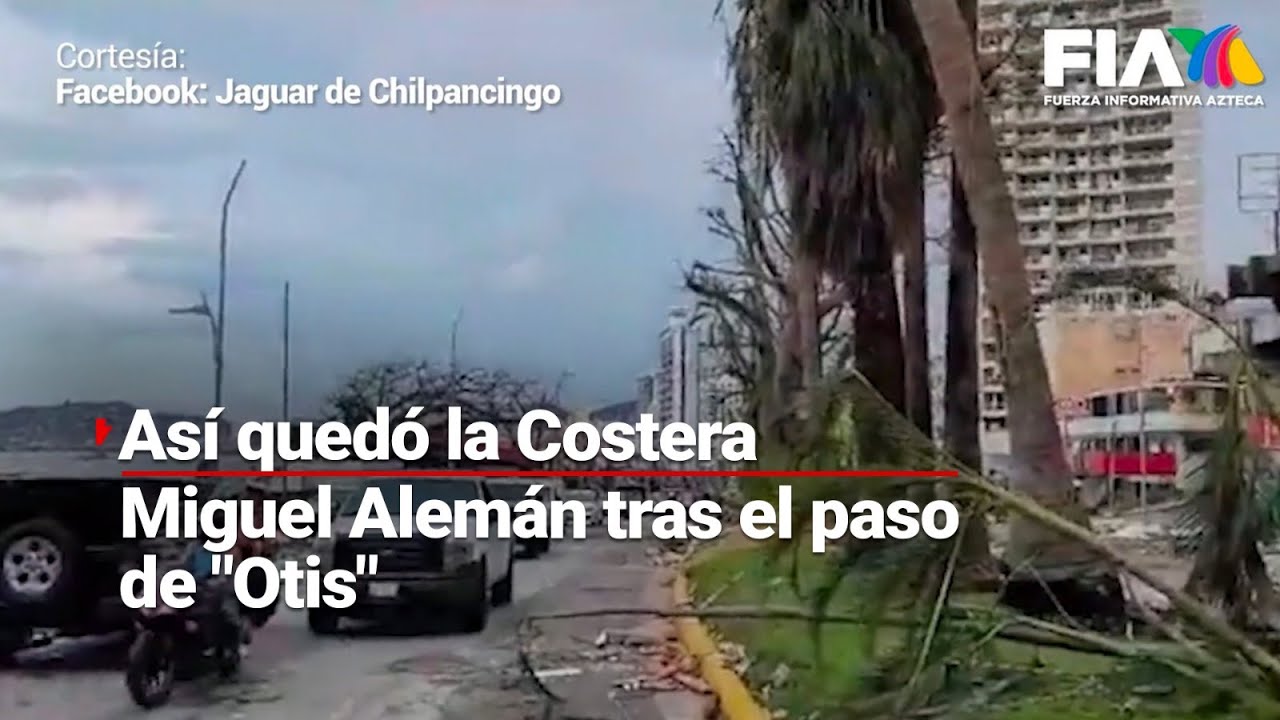 #HuracánOtis | Calles de Acapulco quedaron devastadas; palmeras y postes de luz cayeron