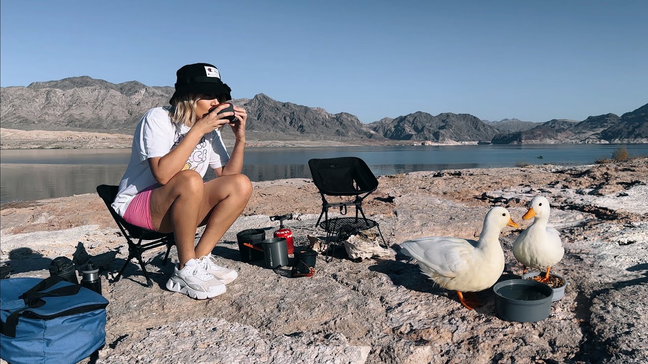 Kayaking & Camping with Pet Ducks / Camp with Pets in the Wilderness