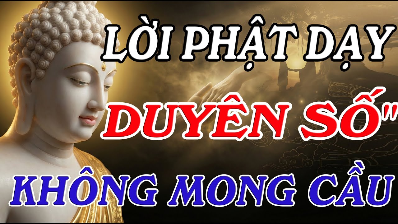Đừng Than Thân Trách Phận: Mọi Sự Gặp Gỡ Trên Đời Đều Là Do Duyên Số Sắp Đặt