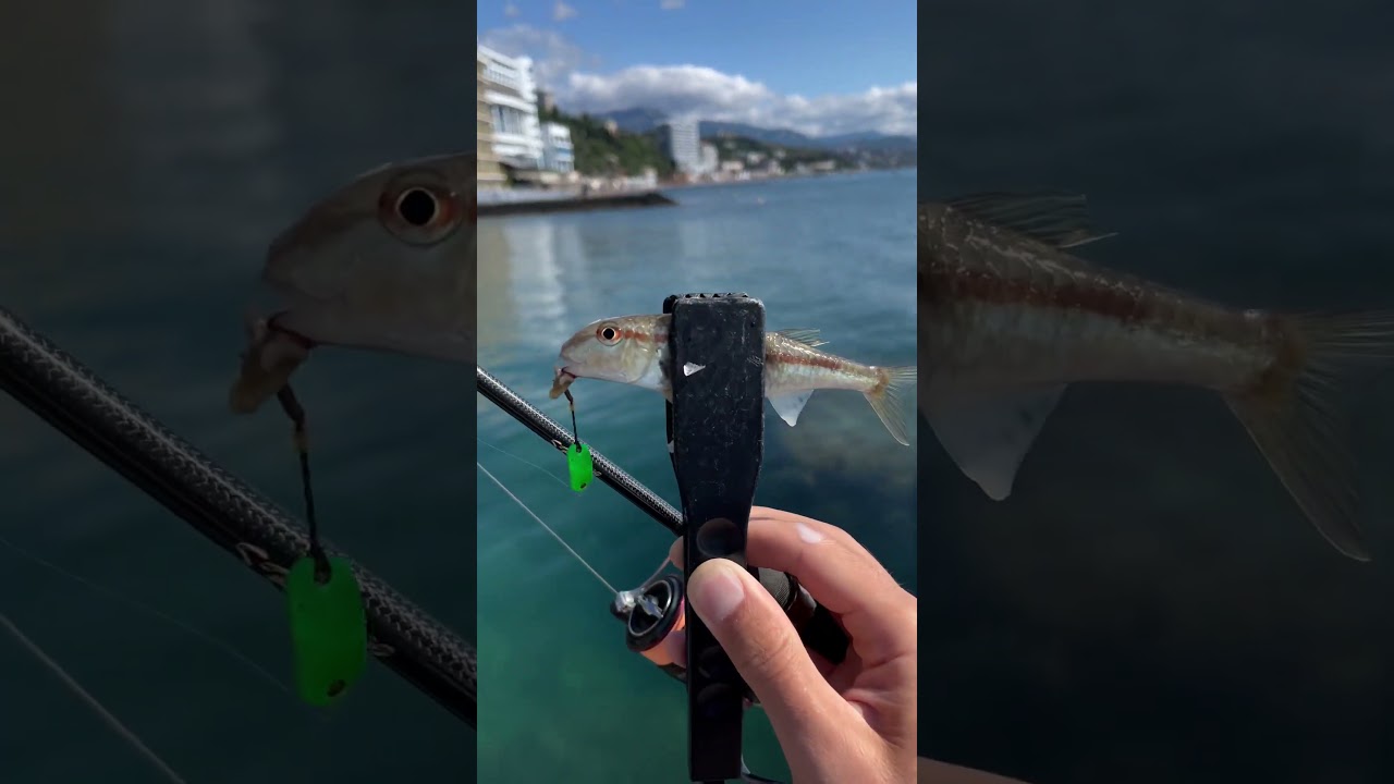 Как мы в Алуште ловили барабулю . Рыбалка на Черном море 22.06.2025год #rockfishing #fishing #crimea