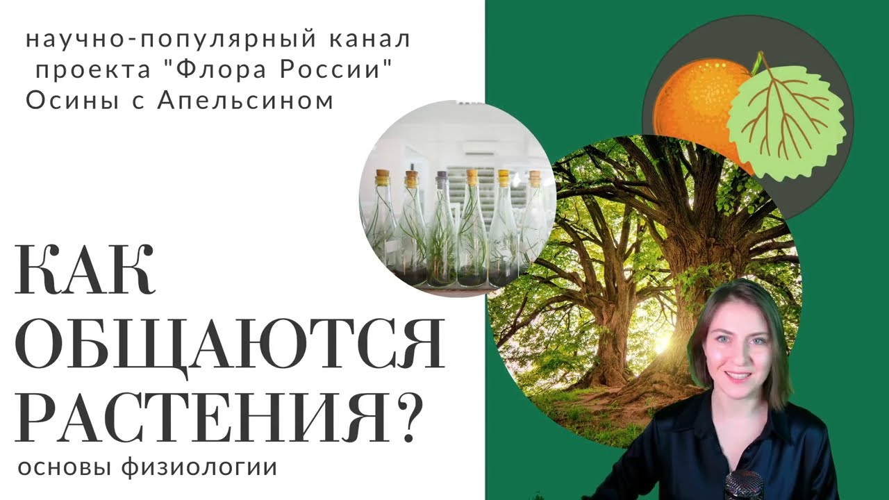 Как говорят растения? О сигналах в зеленом мире.