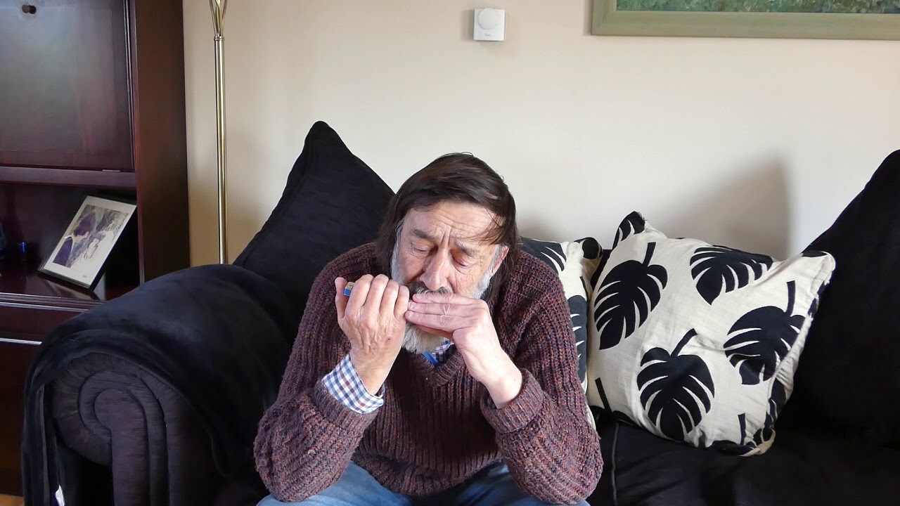 Dirty old Town Seydel Skydiver Tremolo Harmonica G Major