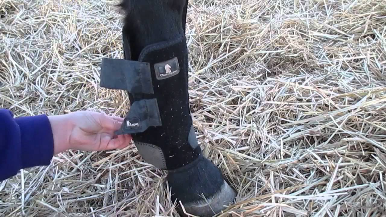 How to put on splint boots