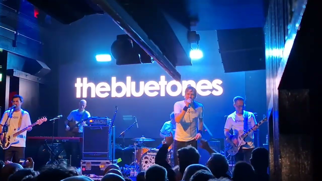 The Bluetones 