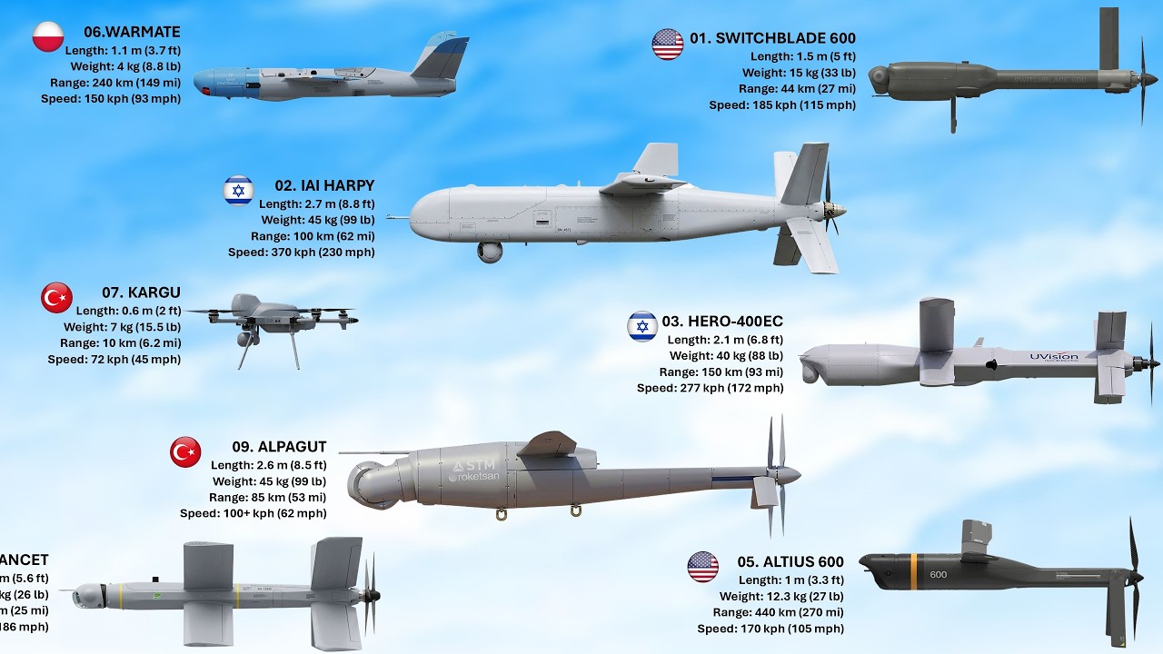 Топ-10 боеприпасов, используемых для барражирования (издание 2026 года)