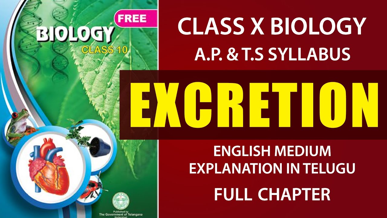 #Excretion Full chapter|  Human excretory system Explanation in telugu | AP & TS  class 10 Biology