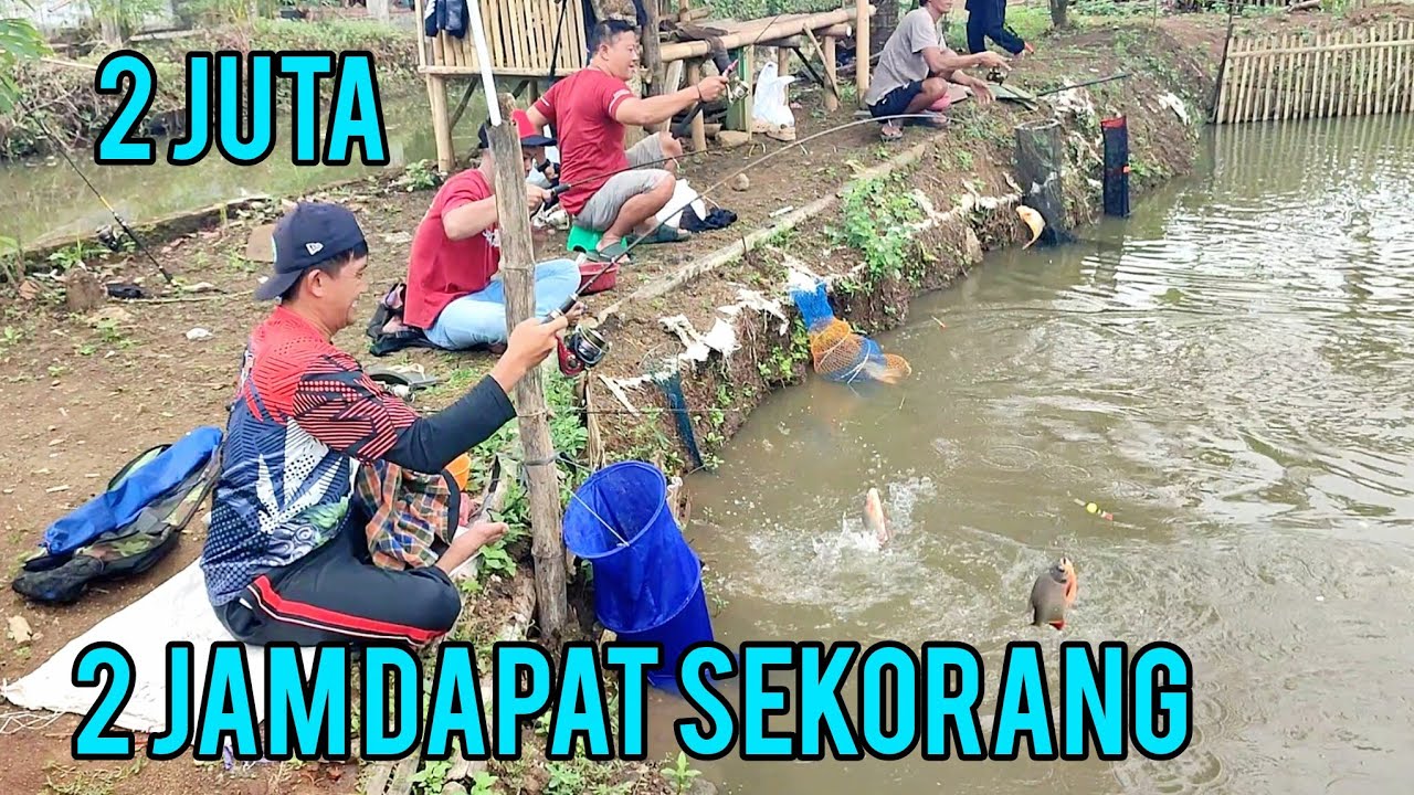 MANCING BARU 2 JAM SUDAH DAPAT SARU KORANG‼️2 JUTA 4 PESERTA IKAN CAMPUR