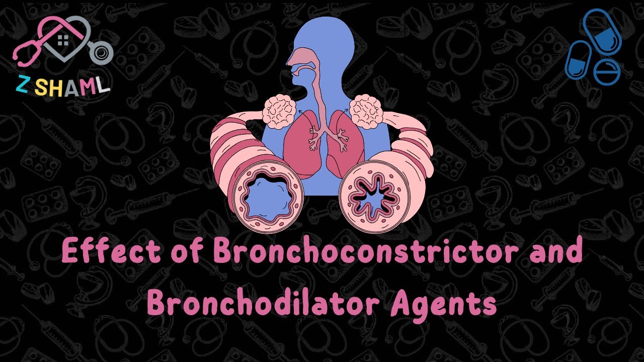Effect of Bronchoconstrictors and Bronchodilator Agents by Mohamed Nasser