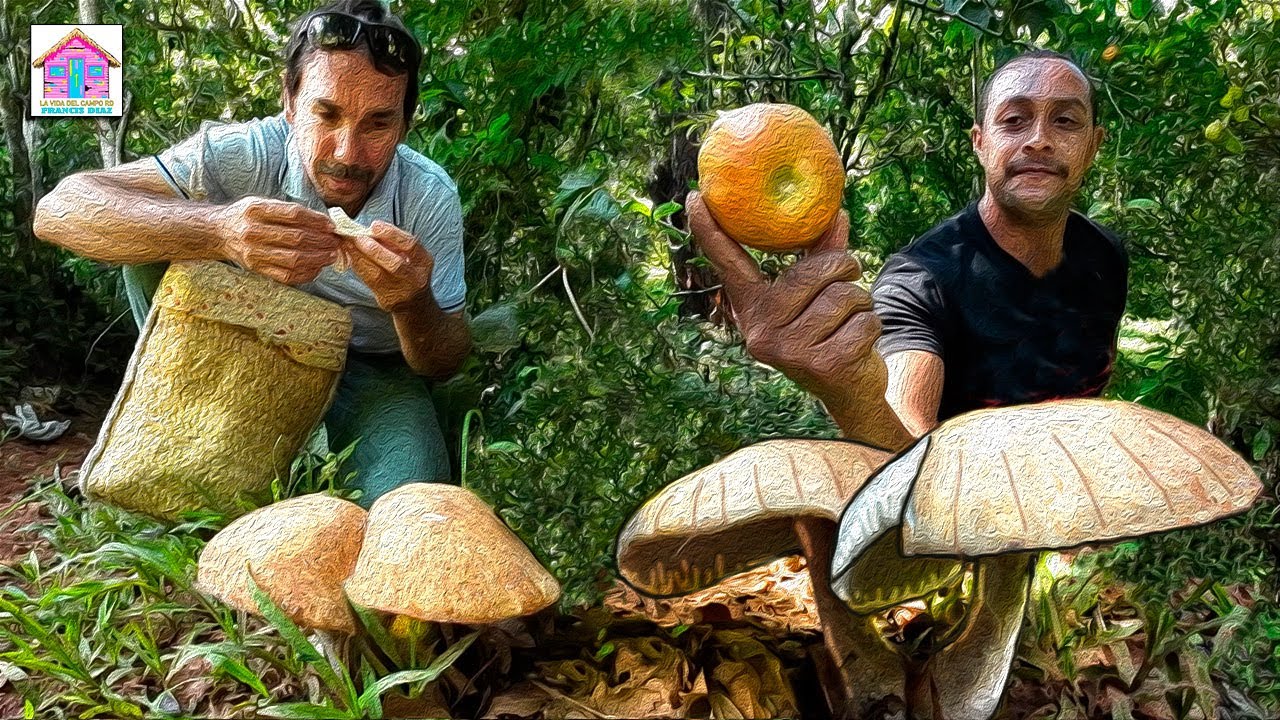 Encontramos  HONGOS GIGANTES, FRUTAS  y un ÑAME mas difícil que una BOTIJA de sacar   EN EL CAMPO