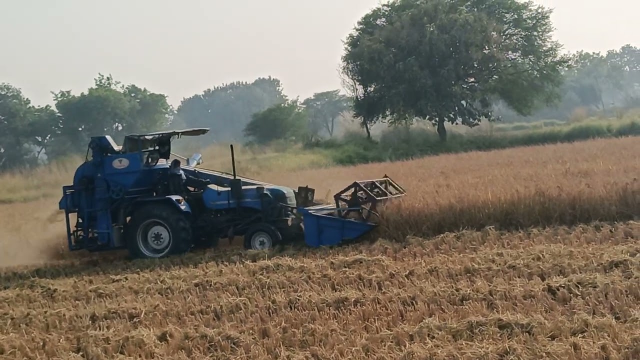 Harvesting #automobile #trending #comedy #youtube #vlog #like #live #agriculture #farming #travel 