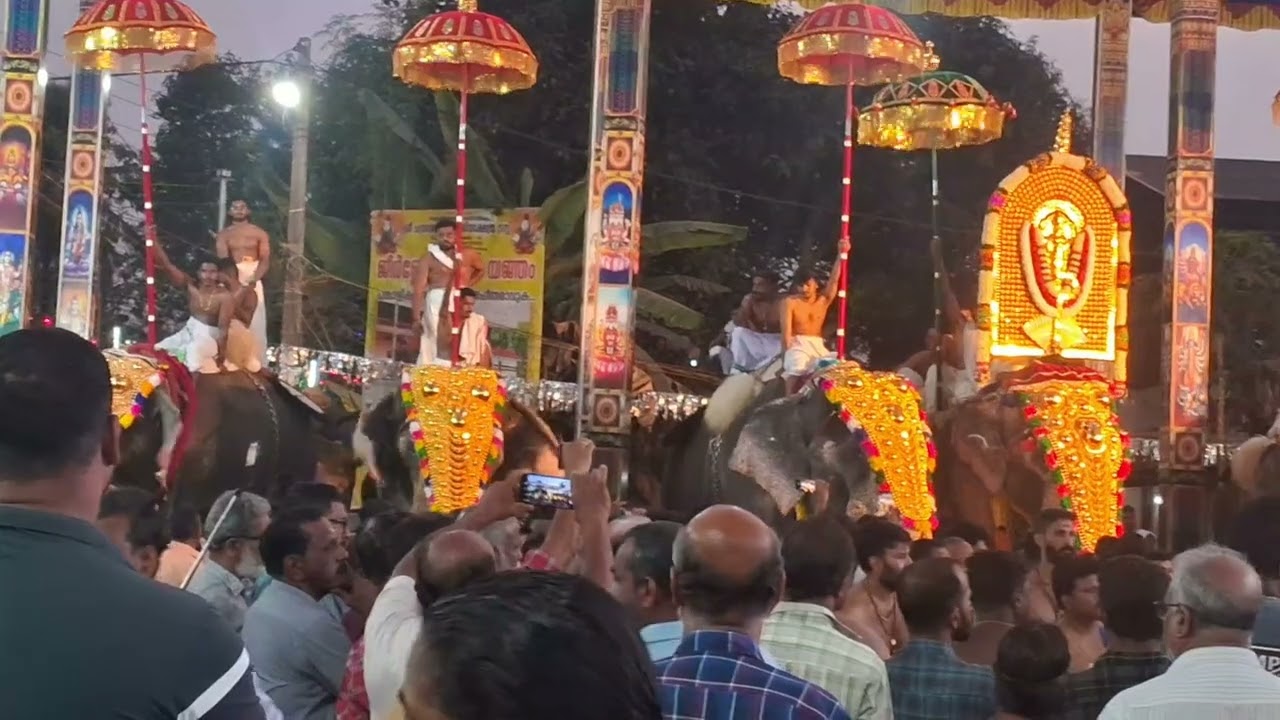 മുതുക്കാട് പൂരം മുപ്പത്തടം Aluva 🙏🙏