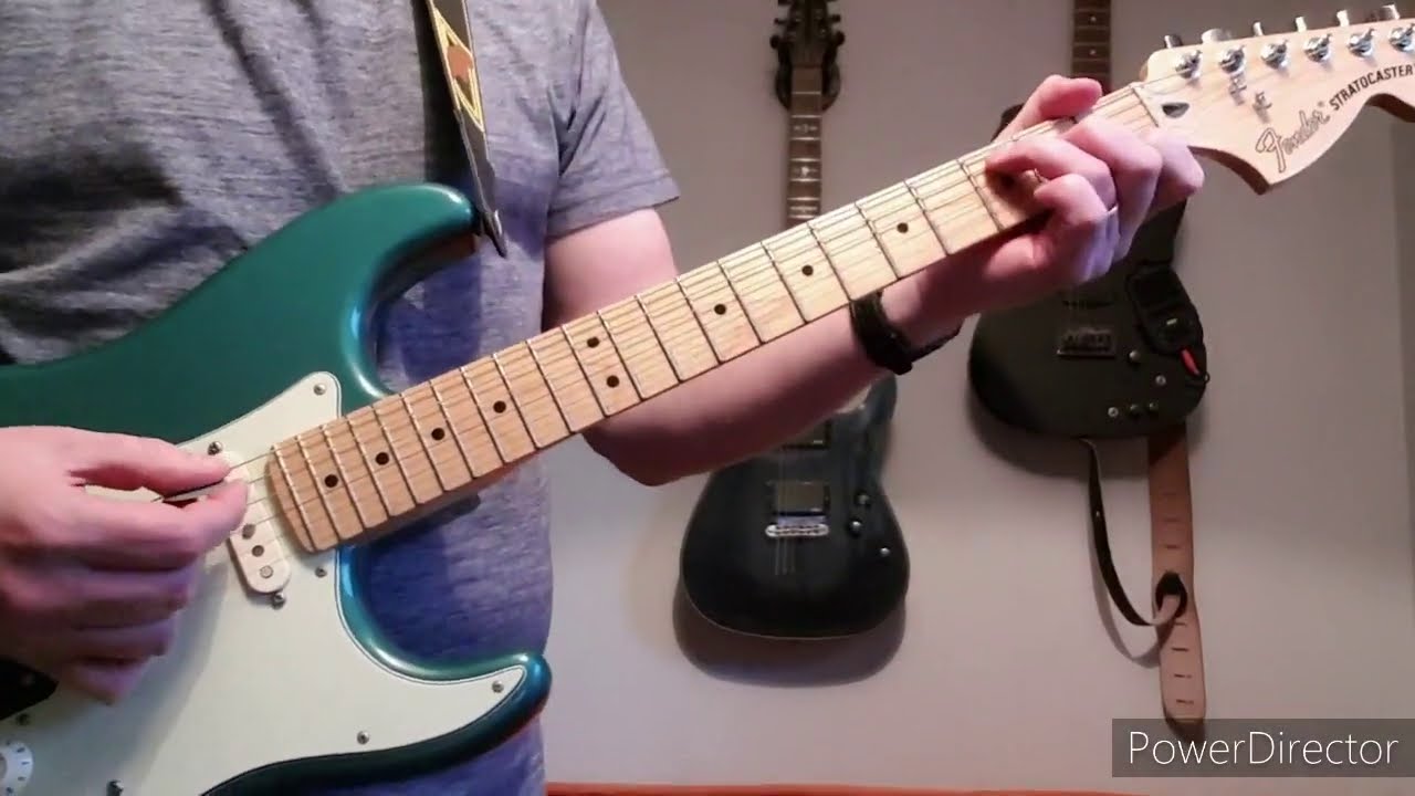 Hate The Police - Mudhoney - Guitar Cover