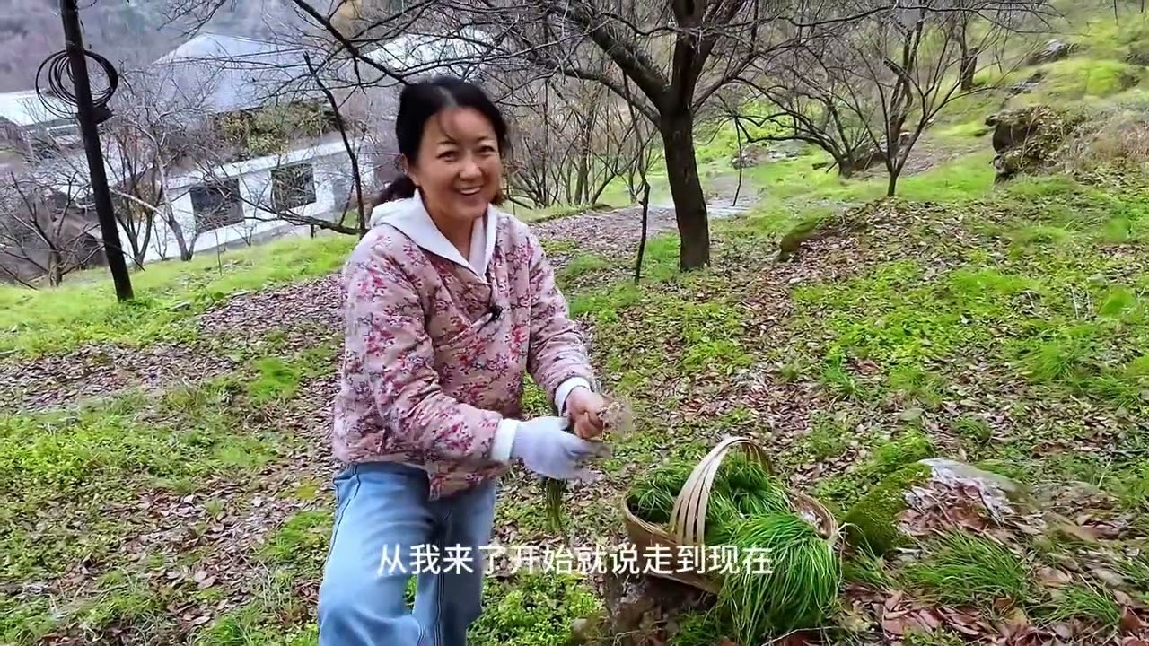 跟着姐妹寻宝去！解锁两种被低估的野外食材，城里买不到 #mushroom #outdoors #新鲜采摘
