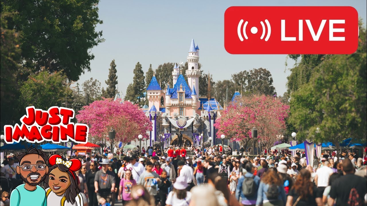 🔴SUNDAY NIGHT AT DISNEYLAND RESORT