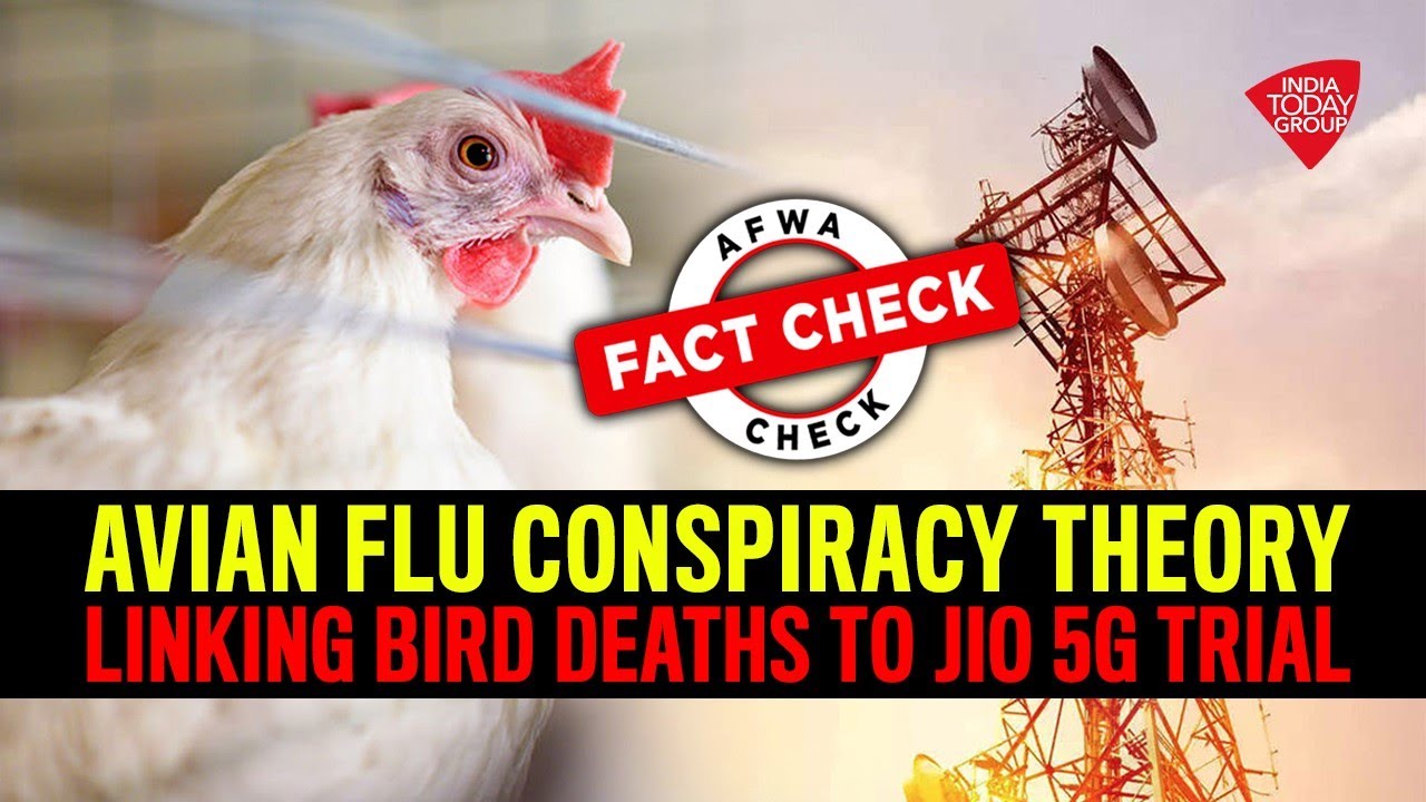 Avian Flu Conspiracy Theory Linking Bird Deaths To Jio 5G Trial
