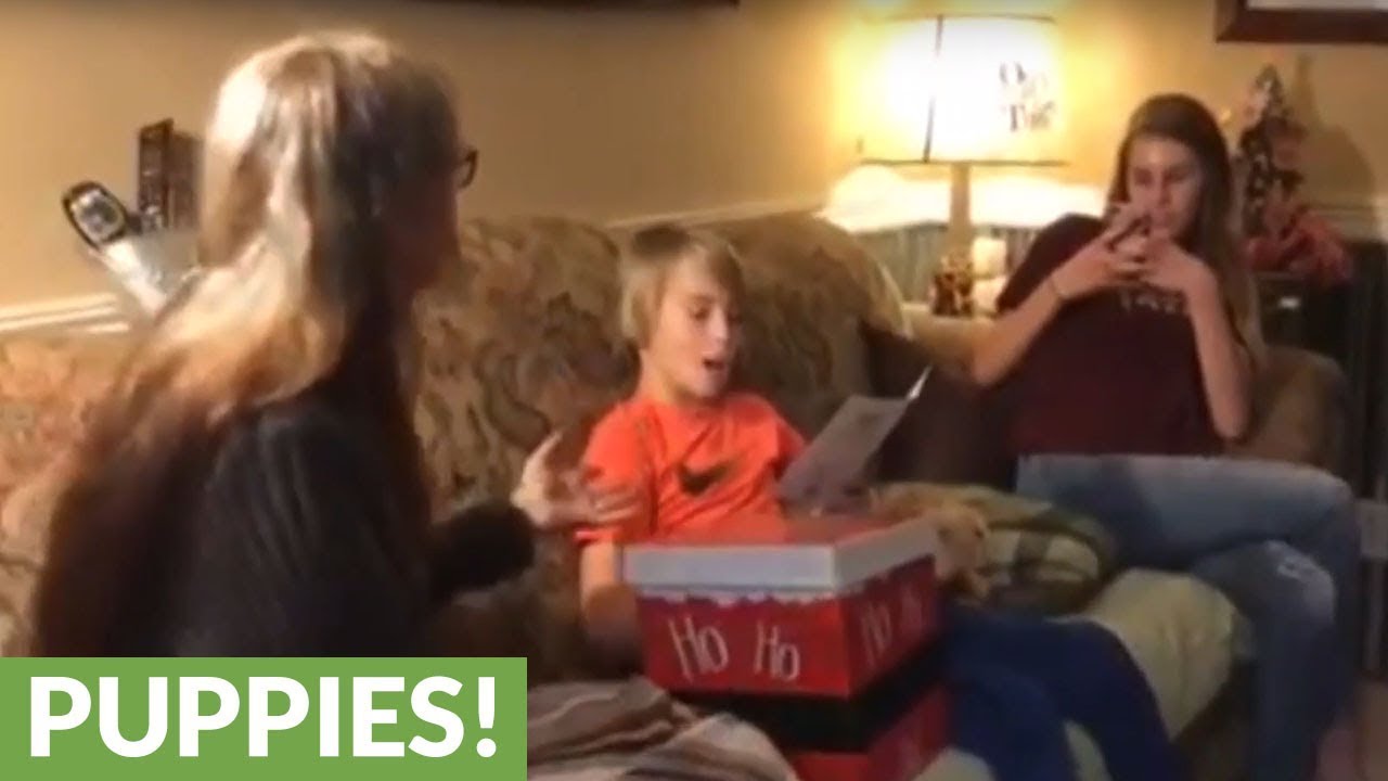 Kid totally shocked with new puppy surprise