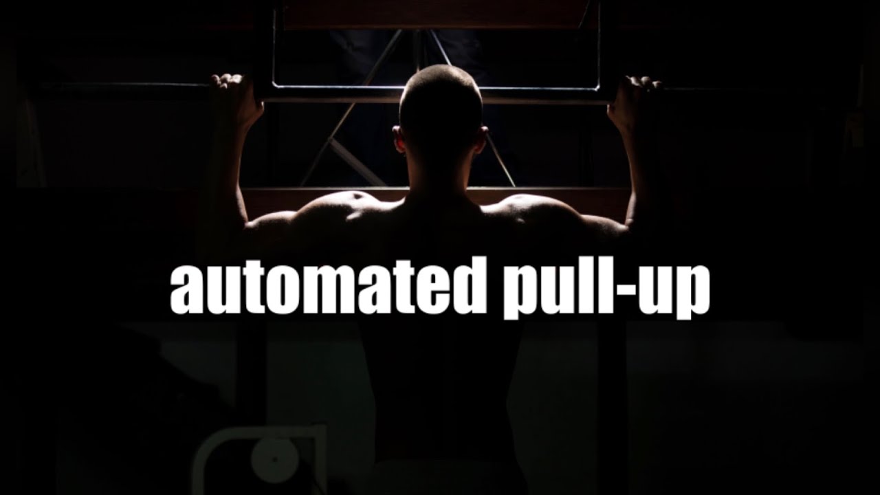 automated pull-ups (morphic field)