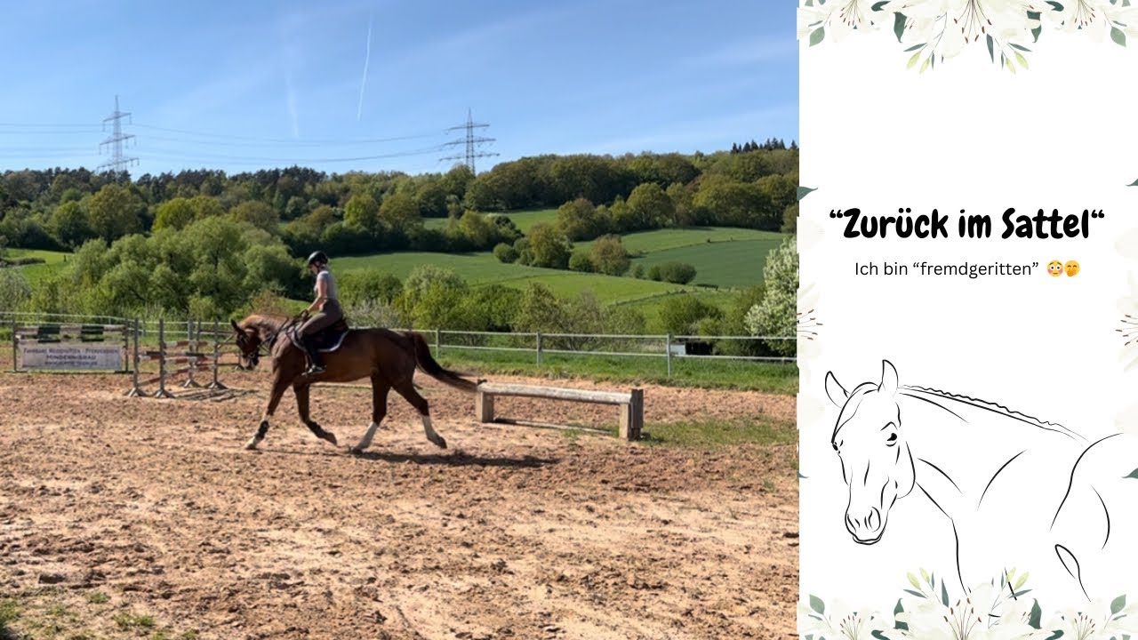 Zurück im Sattel 🐴 | Sonniger Stalltag ☀️ | Oszy Update |  VLOG 97 | Oasy