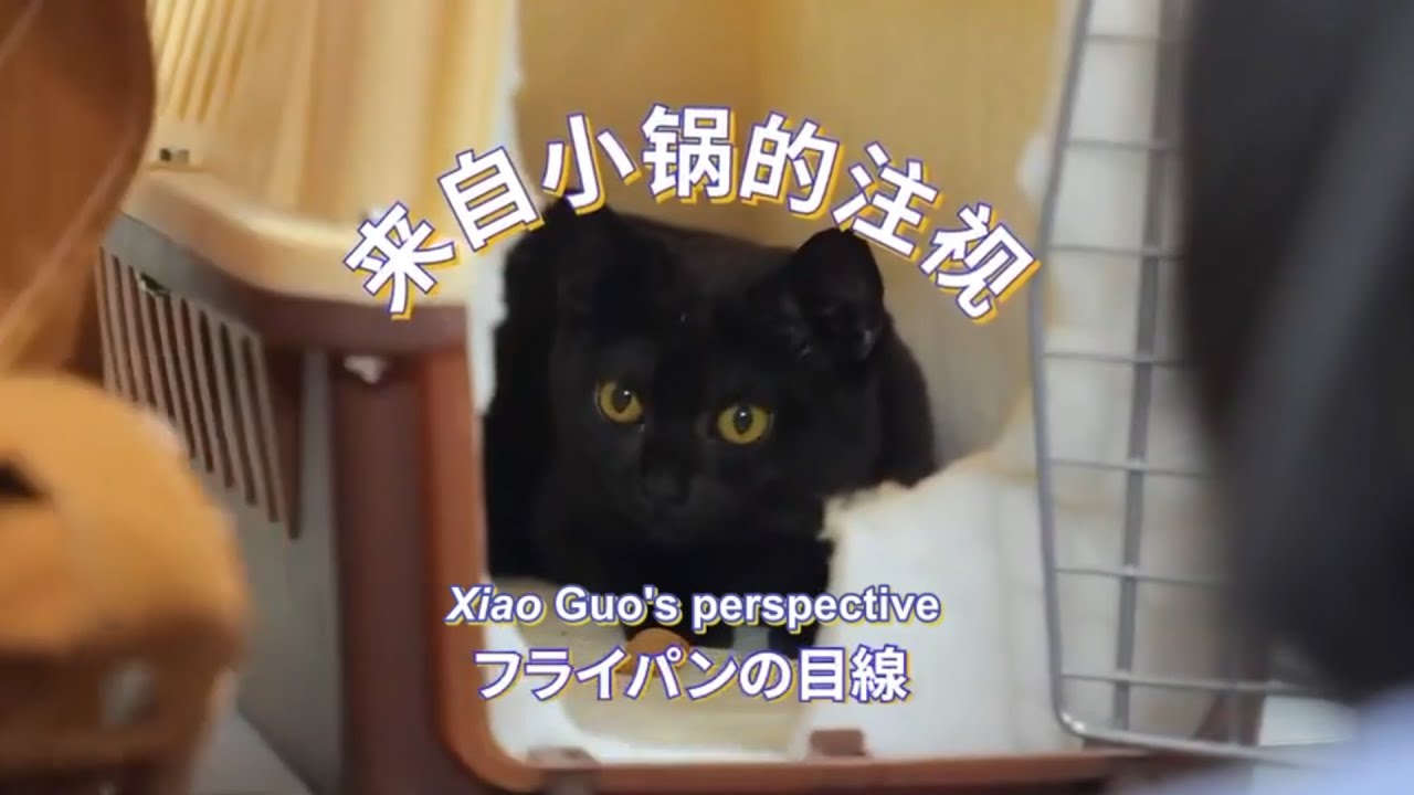 [ENG+MULTI SUB] Justice in the Dark 光渊 [BTS] Ping Diguo's First Meeting With Everyone